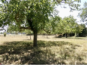 terrain à la vente -   85400  SAINTE GEMME LA PLAINE, surface 1000 m2 vente terrain - UBI455510330